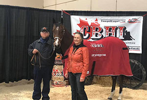 CBHI High Selling Sale Horse