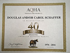 AQHA - 40 Years of Breeding Quarter Horses - Click to enlarge