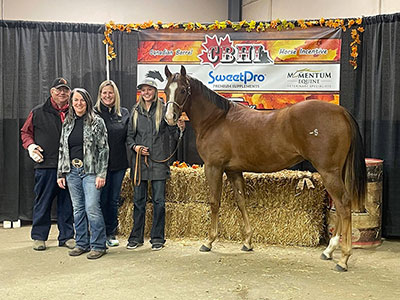 CBHI Sale 2021 - High Selling Horse