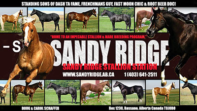Sandy Ridge Stallions