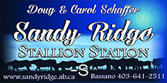Sandy Ridge Stallion Station