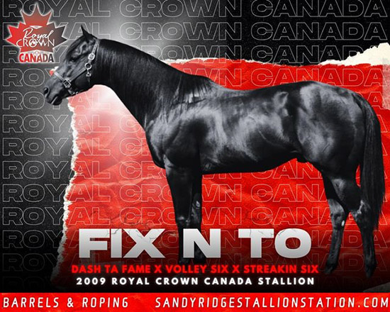 Fix N To - Dash Ta Fame X Volley Six X Streakin Six, 2009 Royal Crown Canada Stallion - Barrel Racing & Roping